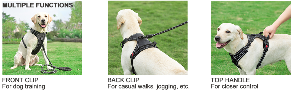 haapaw No Pull Dog Harness A+ BLK 4