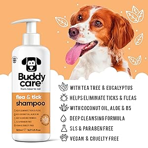 Buddycare