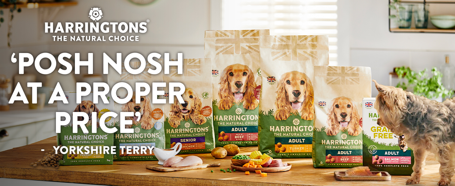 Harringtons Grain Free Hypoallergenic Wet Dog Food Variety Pack 16x400g - Chicken, Beef, Turkey & Salmon proper nosh at a proper price - harringtons the natural choice