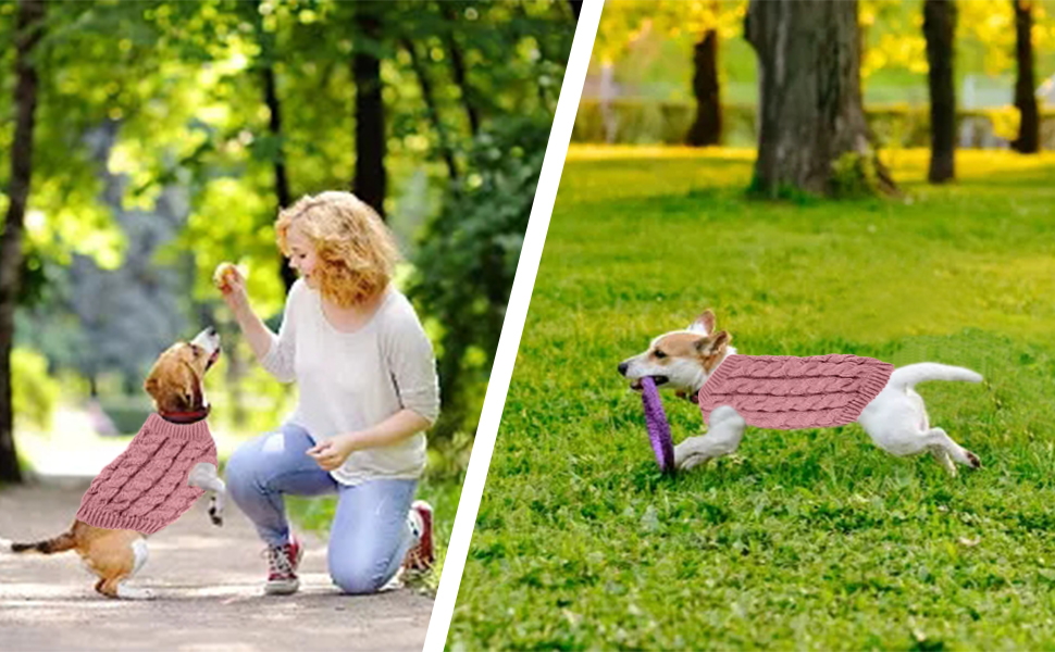 Pet Dog Turtleneck Knitting Sweater Coat Winter Warmer travel