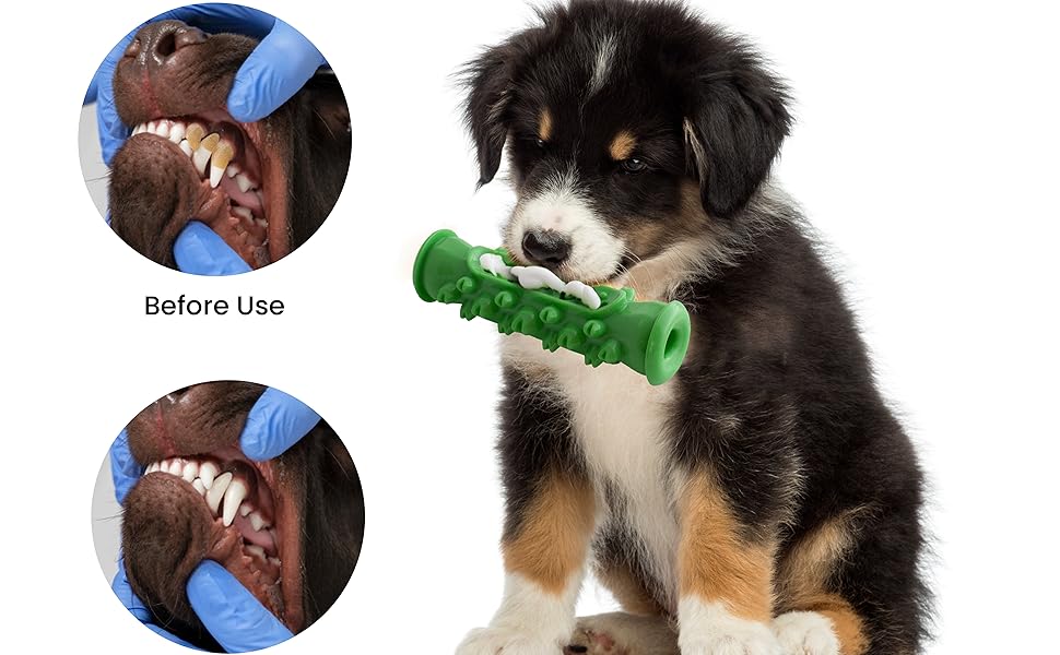Emporium Pets Dog Dental Chew Toy, Dog Toys, Dog Chew Toys for Puppy, Dog Chew Toys for Aggressive Chewers, Dog Toothbrush Toy, Dog Teething Toys, Dog Chew Toys dog