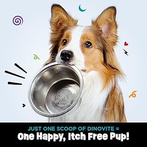 dinovite for dogs