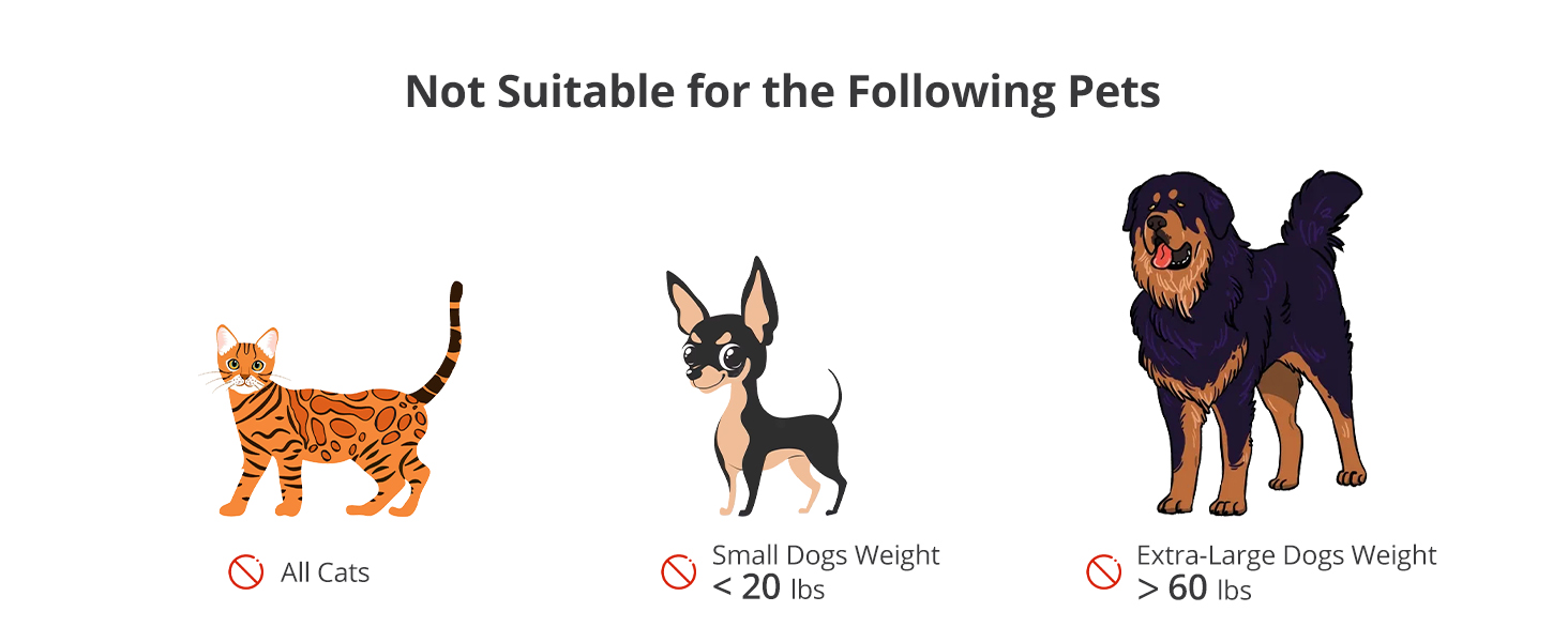 Petace Dog Water Bowl, Non Spill Pet Water Bowl 08019