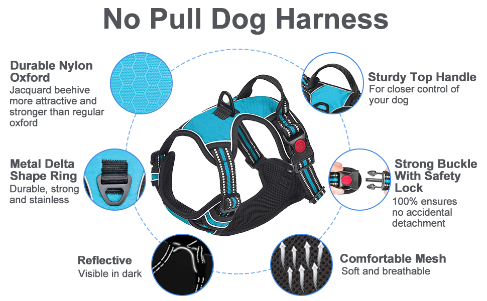 haapaw No Pull Dog Harness BLU 2