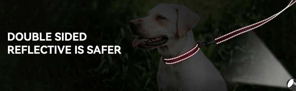 dog collar and leash set