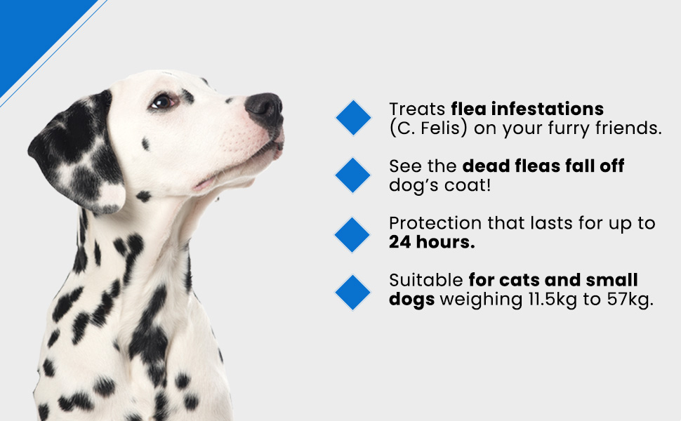 Treats flea infestations