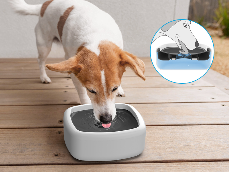 Petace Dog Water Bowl, Non Spill Pet Water Bowl Dog Water Bowl