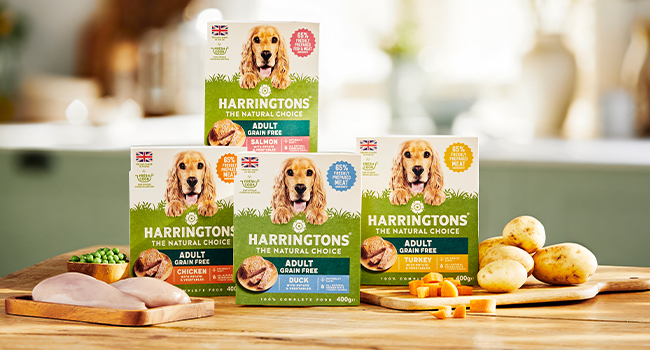 Harringtons Grain Free Hypoallergenic Wet Dog Food Variety Pack 16x400g - Chicken, Beef, Turkey & Salmon wet tray
