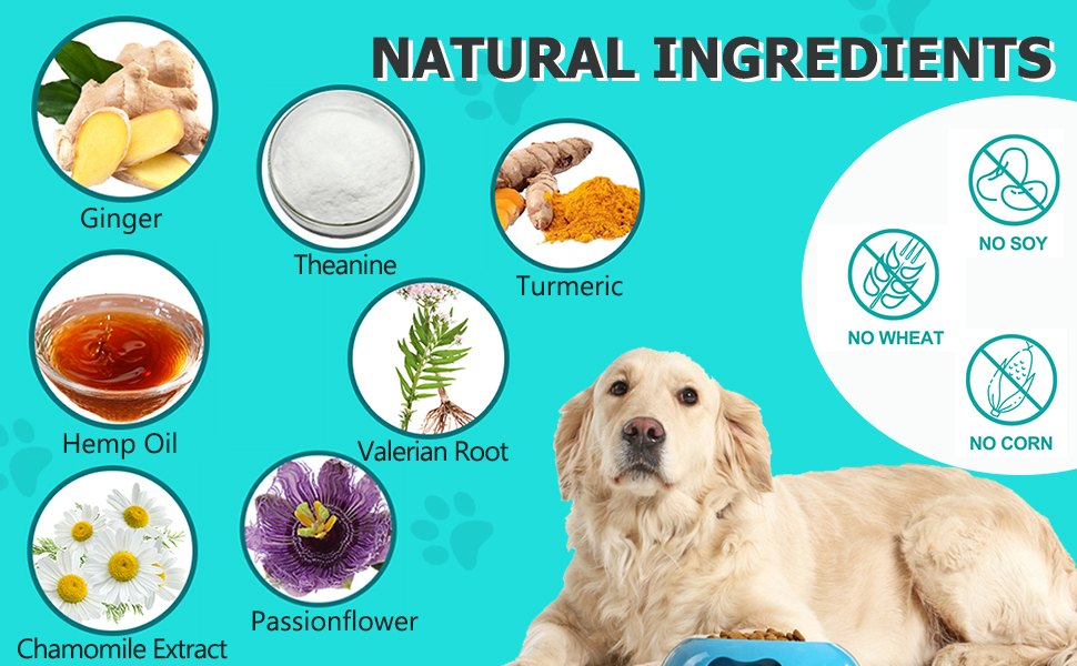 calming chews for dog