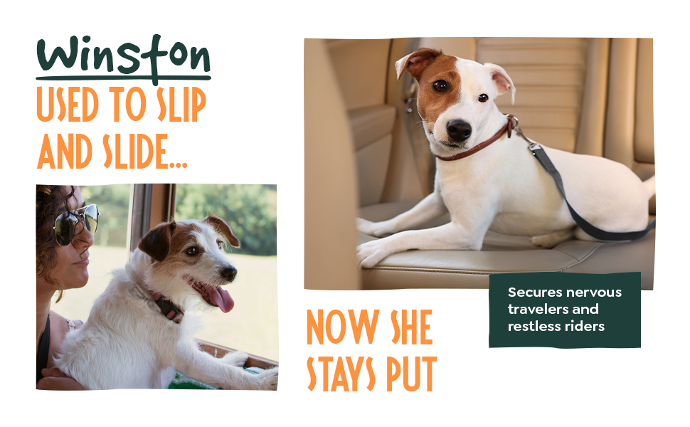 dog seatbelt car harness for dogs uk car dog seat belt dog car restraint uk