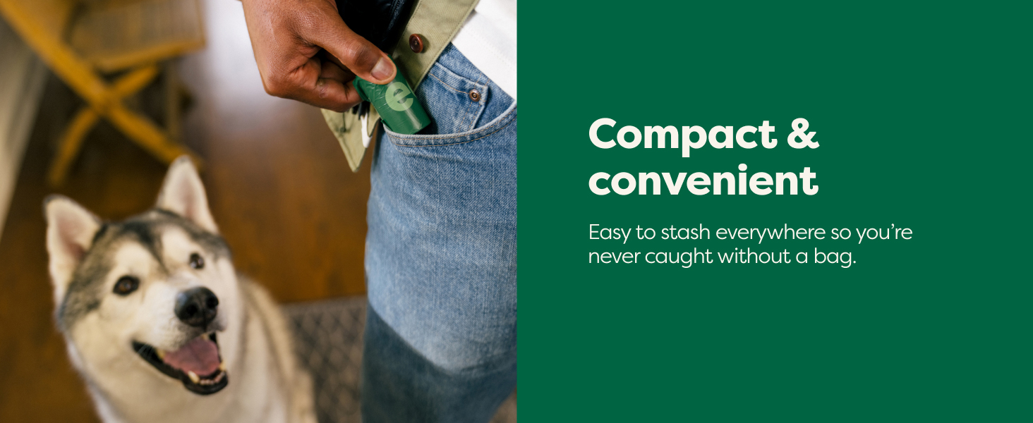 compact and convenient