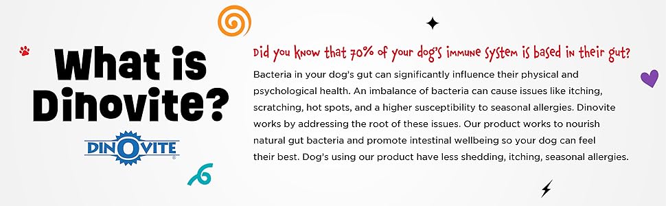 dinovite for dogs