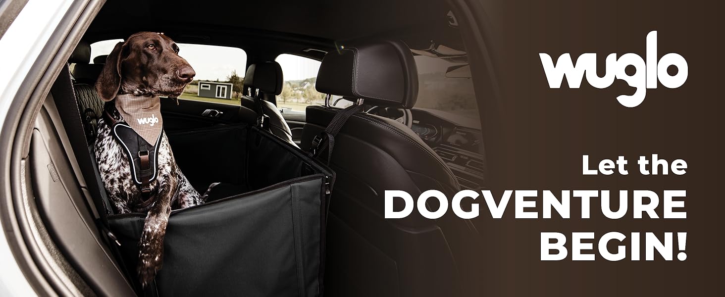 dog car seat