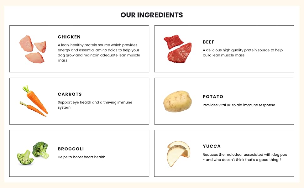 Pooch & Mutt - Chicken & Beef Pack of Complete Wet Dog Food, Dry Dog Food Topper, 12x375g CB Block 3