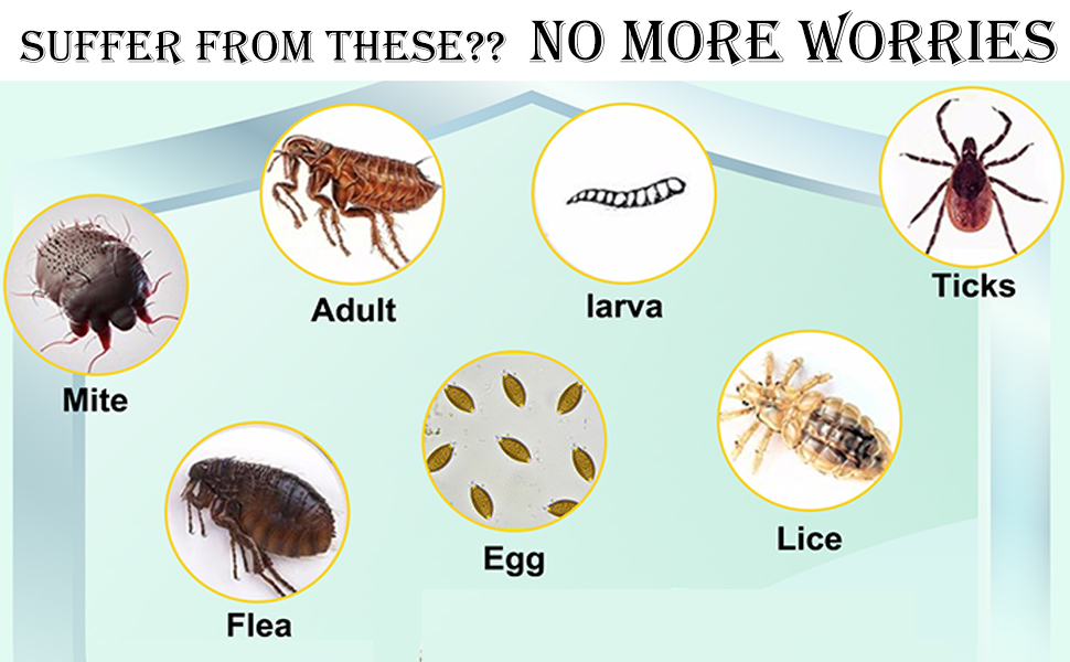 Flea and Tick Prevention for Dogs Natural Flea and Tick Supplement for Dogs Oral Flea Pills 