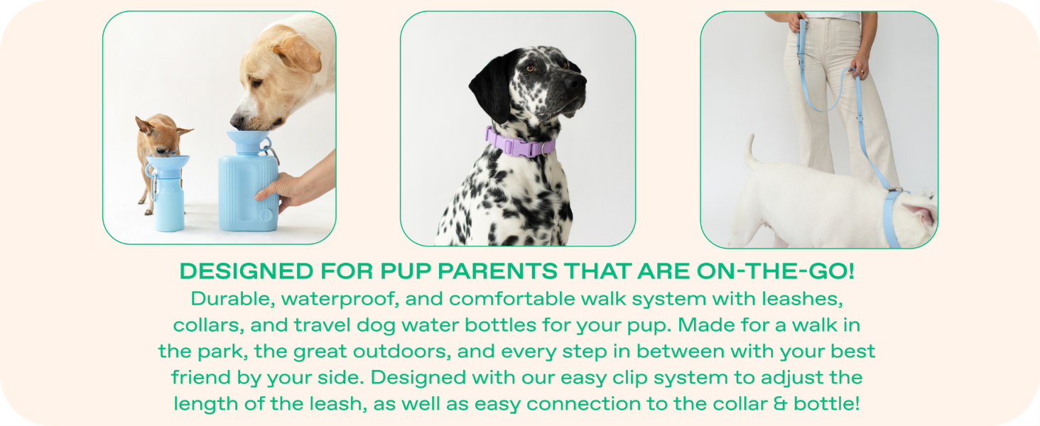 SPRINGER WATER BOTTLE FOR DOGS PETS