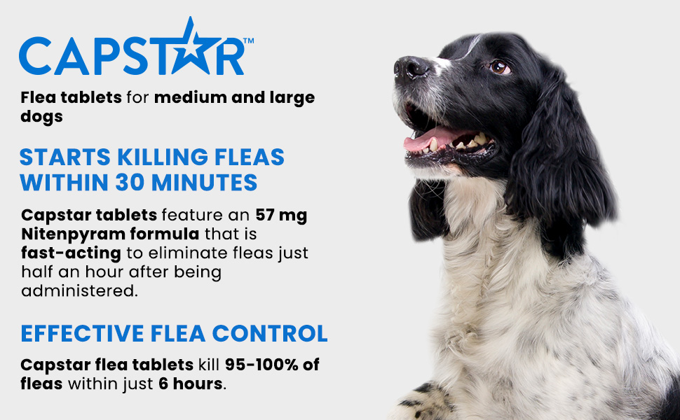 Starts treating fleas within 30 minutes