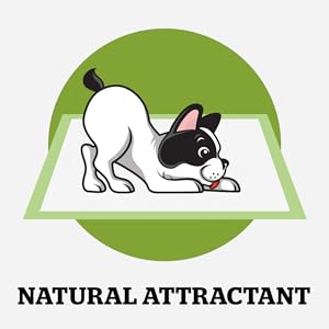 Pogi's training pads