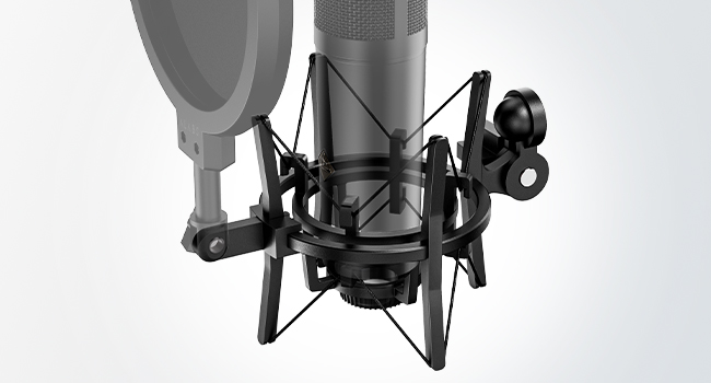 Condenser Microphone