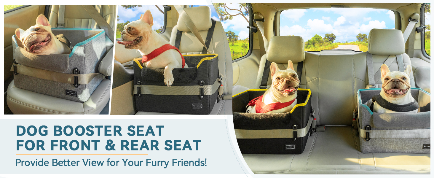 dog car seat