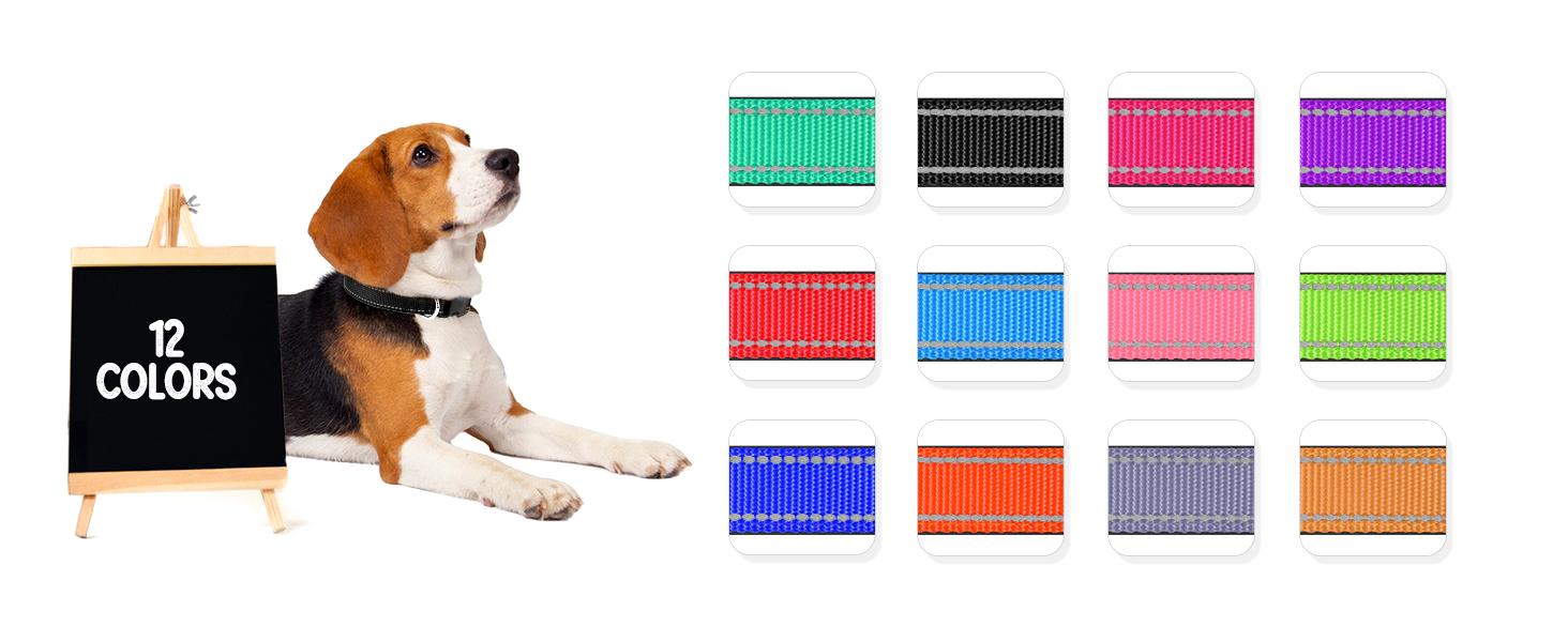 Colorful Nylon Pet Collar