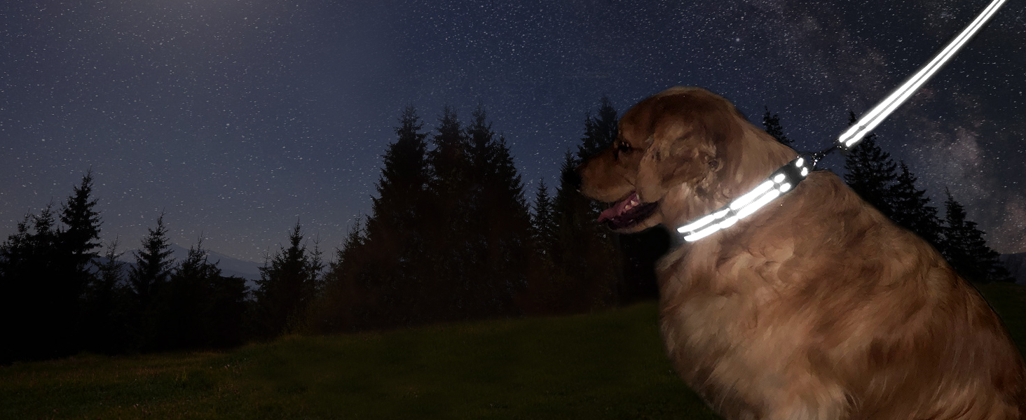 Reflective Dog Collar