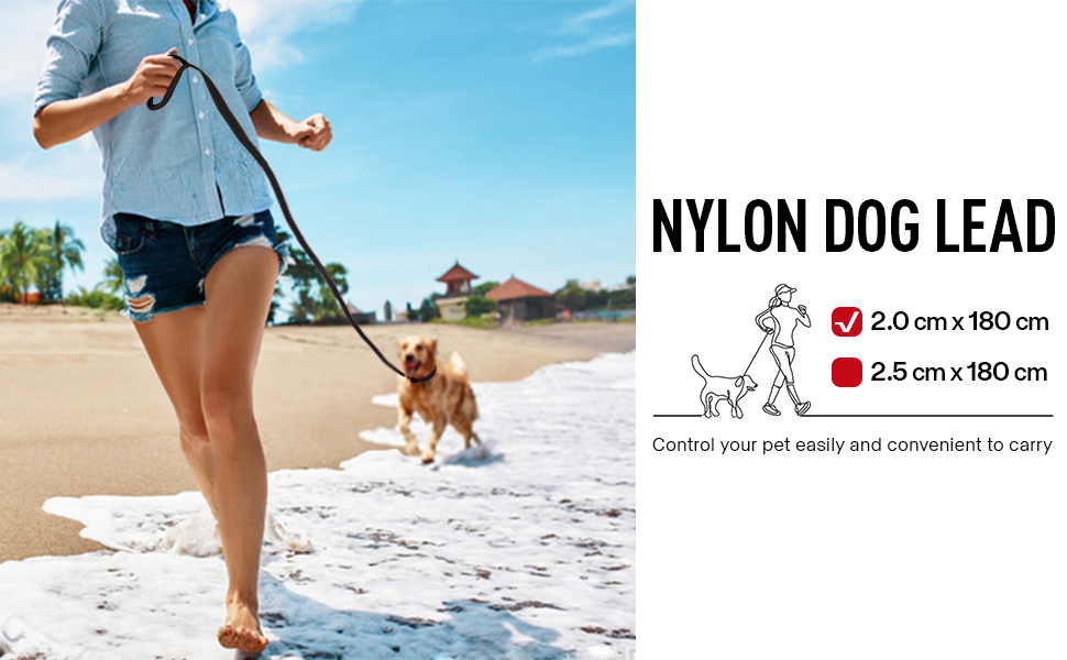 nylon dog leash