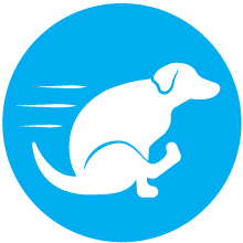 Glandex Dog Gland Sac Fibre Supplement Boot the Scoot