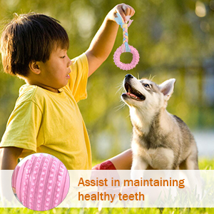 JYPS Puppy Dog Teething Toys, 4pcs Puppy Chew Toy Set with Ball and Cotton Ropes interactive toys