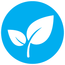 Glandex Dog Gland Fibre Supplement Natural Ingredients Pumpkin Probiotics