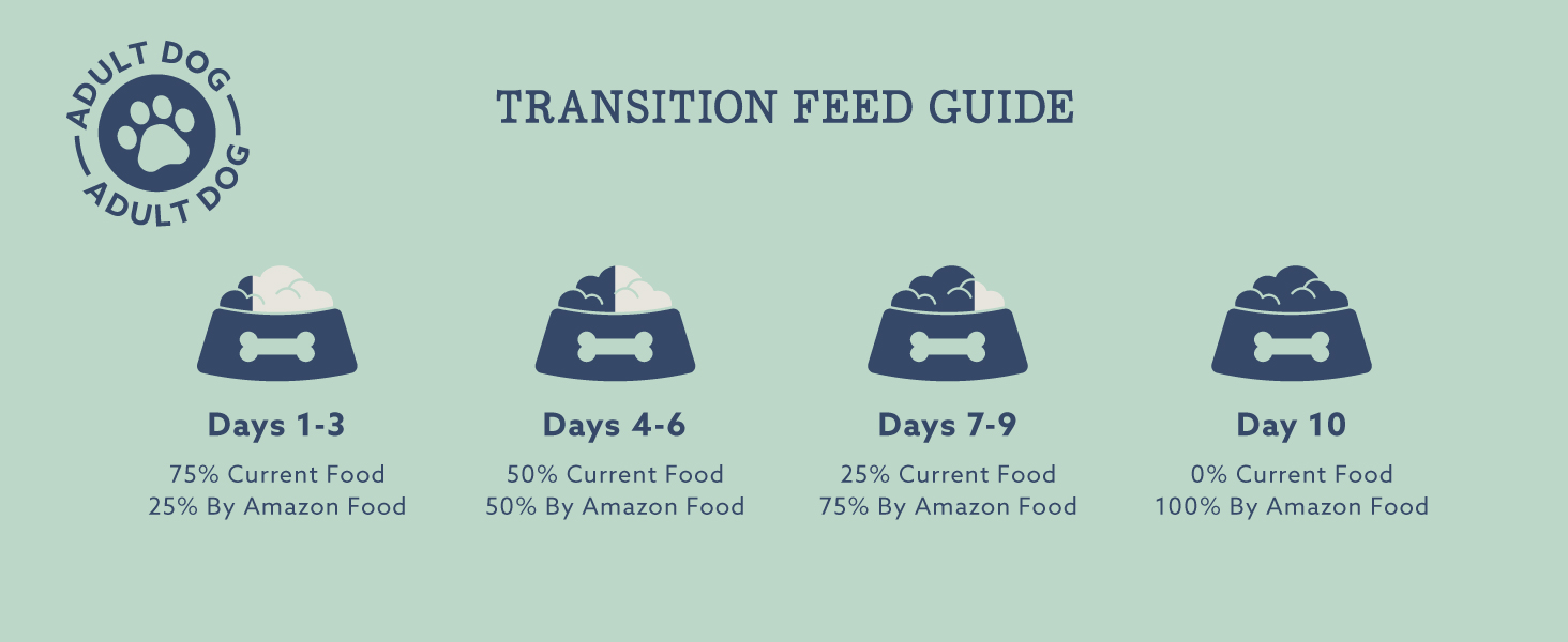 by Amazon Complete Food for Adult Dogs, Meat Selection in Gravy, 4.8 kg (48 Packs of 100g)