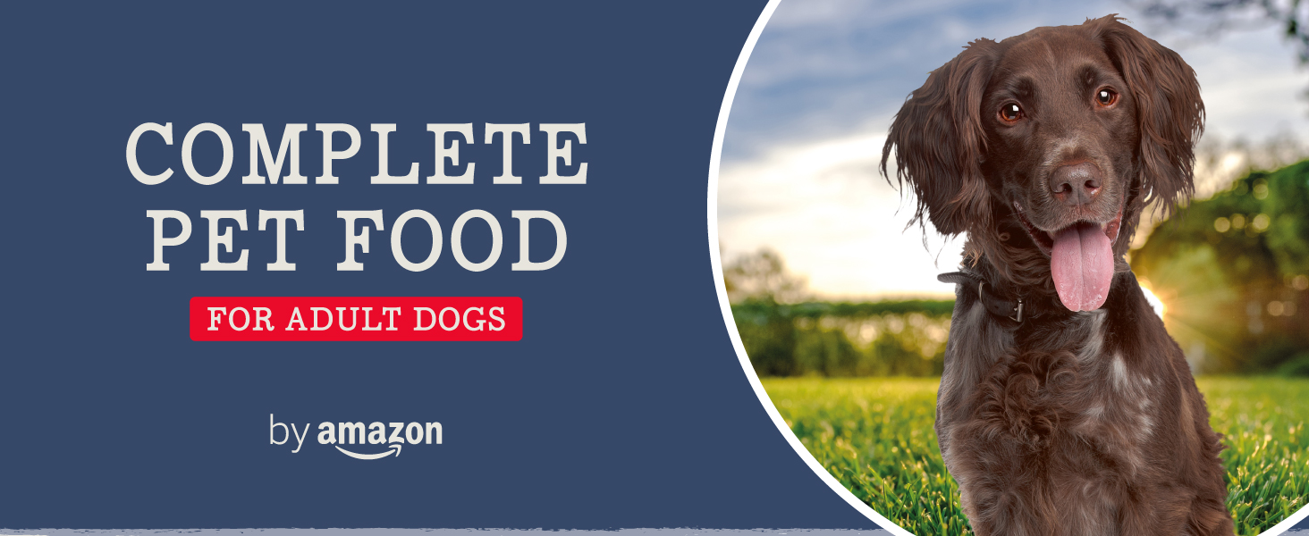by Amazon Complete Food for Adult Dogs, Meat Selection in Gravy, 4.8 kg (48 Packs of 100g)