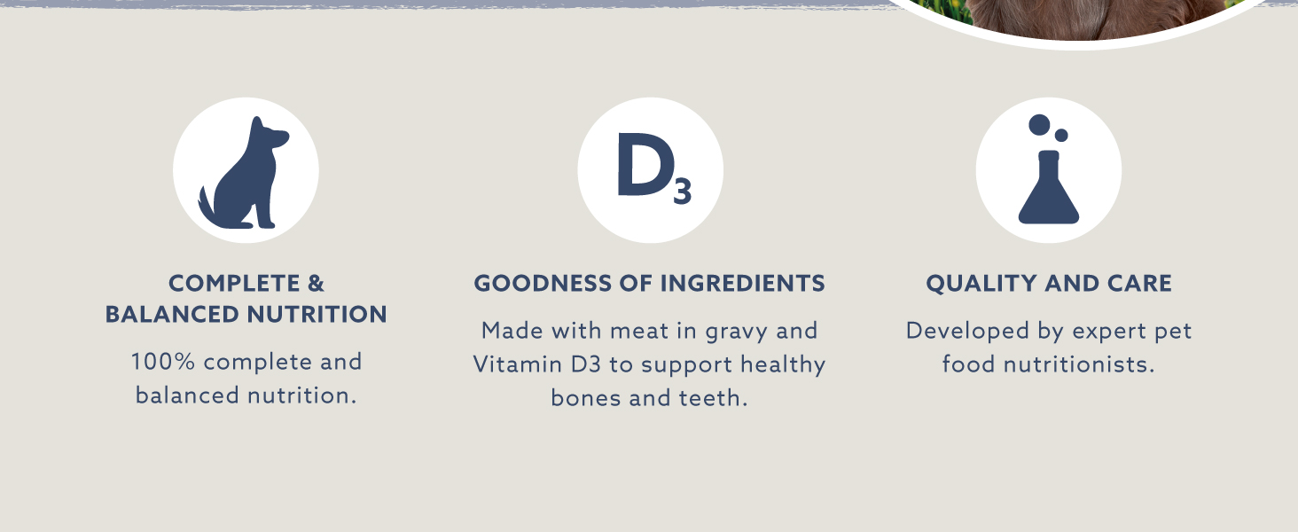 by Amazon Complete Food for Adult Dogs, Meat Selection in Gravy, 4.8 kg (48 Packs of 100g)