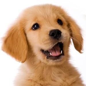 VETIQ Fast Pain Relief Teething Gel With Applicator, Helps Reduce Unwanted Chewing For Dogs & Puppies 4+ Week, 50 g 4