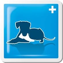 VETIQ Fast Pain Relief Teething Gel With Applicator, Helps Reduce Unwanted Chewing For Dogs & Puppies 4+ Week, 50 g VETIQ Fast Pain Relief Teething Gel With Applicator, Helps Reduce Unwanted Chewing For Dogs & Puppies 4+ Week, 50 g