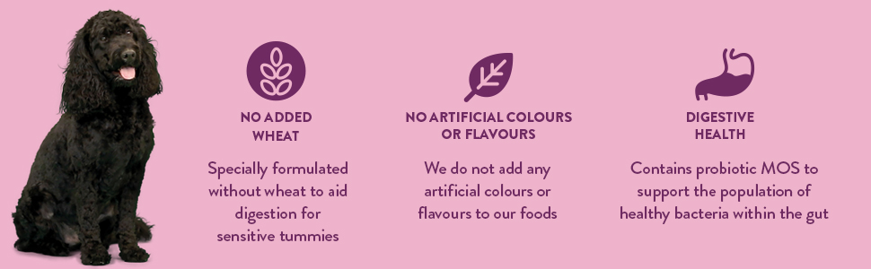 wagg wheta free benefits